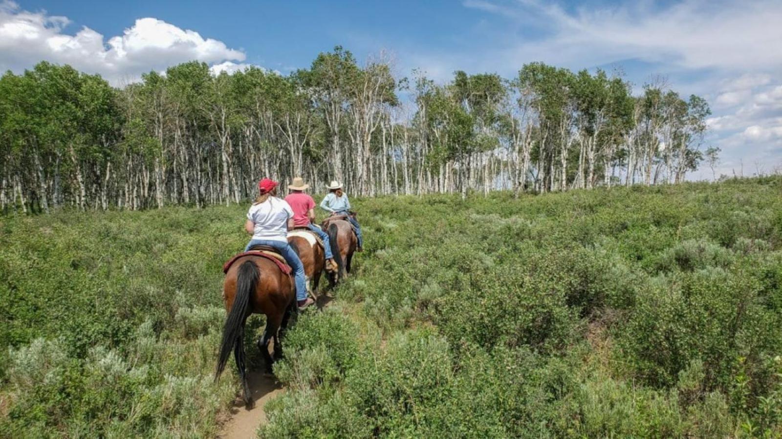 Western Lodge Steamboat Springs Exteriér fotografie